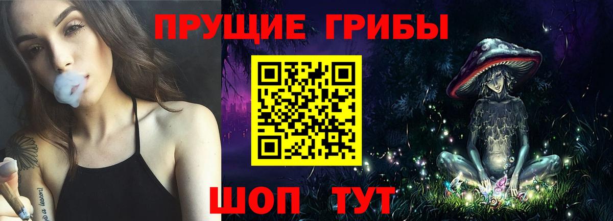 Псилоцибиновые грибы GOLDEN TEACHER  Псилоцибиновые грибы мухоморы  Троицк  купить наркоту  Вход с VPN 
