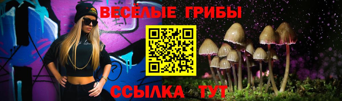 Псилоцибиновые грибы Magic Shrooms Троицк